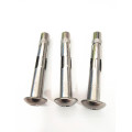 Sus304 M16 Stainless Steel Expansion Anchor Bolts